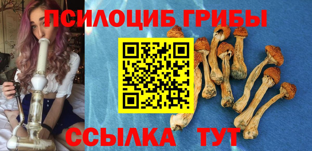Галлюциногенные грибы MAGIC MUSHROOMS  Галлюциногенные грибы Psilocybe  Вход с VPN  Ипатово 